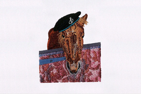 Brown Horse Face